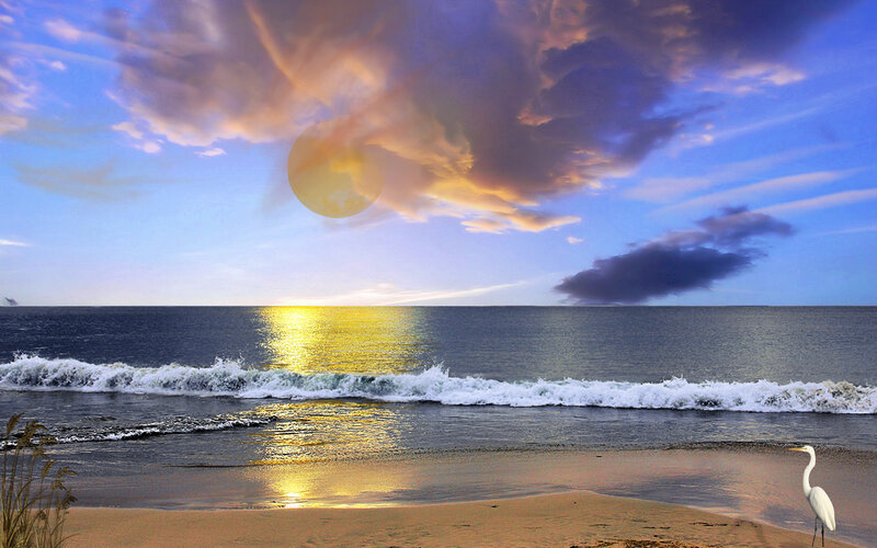 Sunset over the ocean with a heron