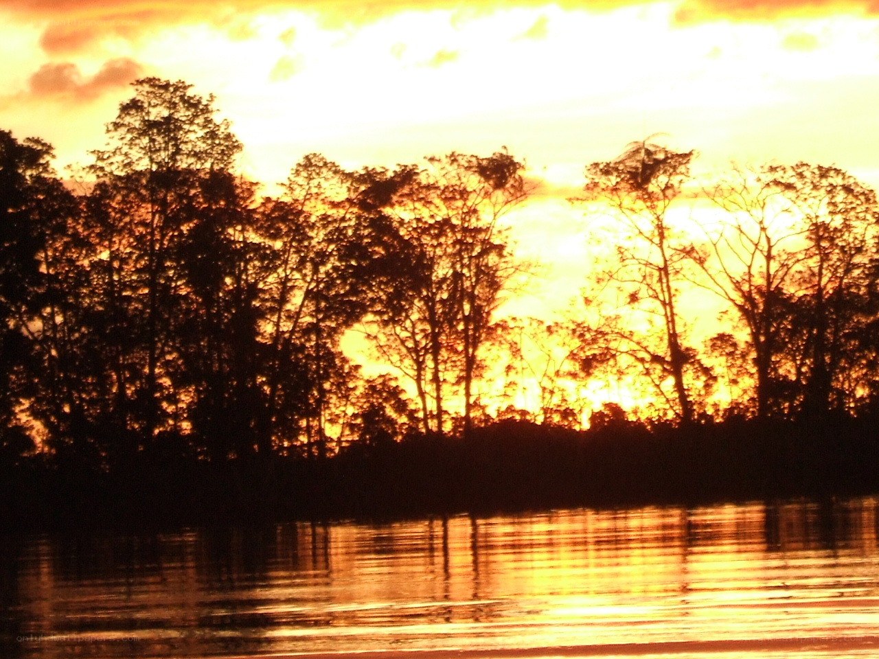 sunset over the river