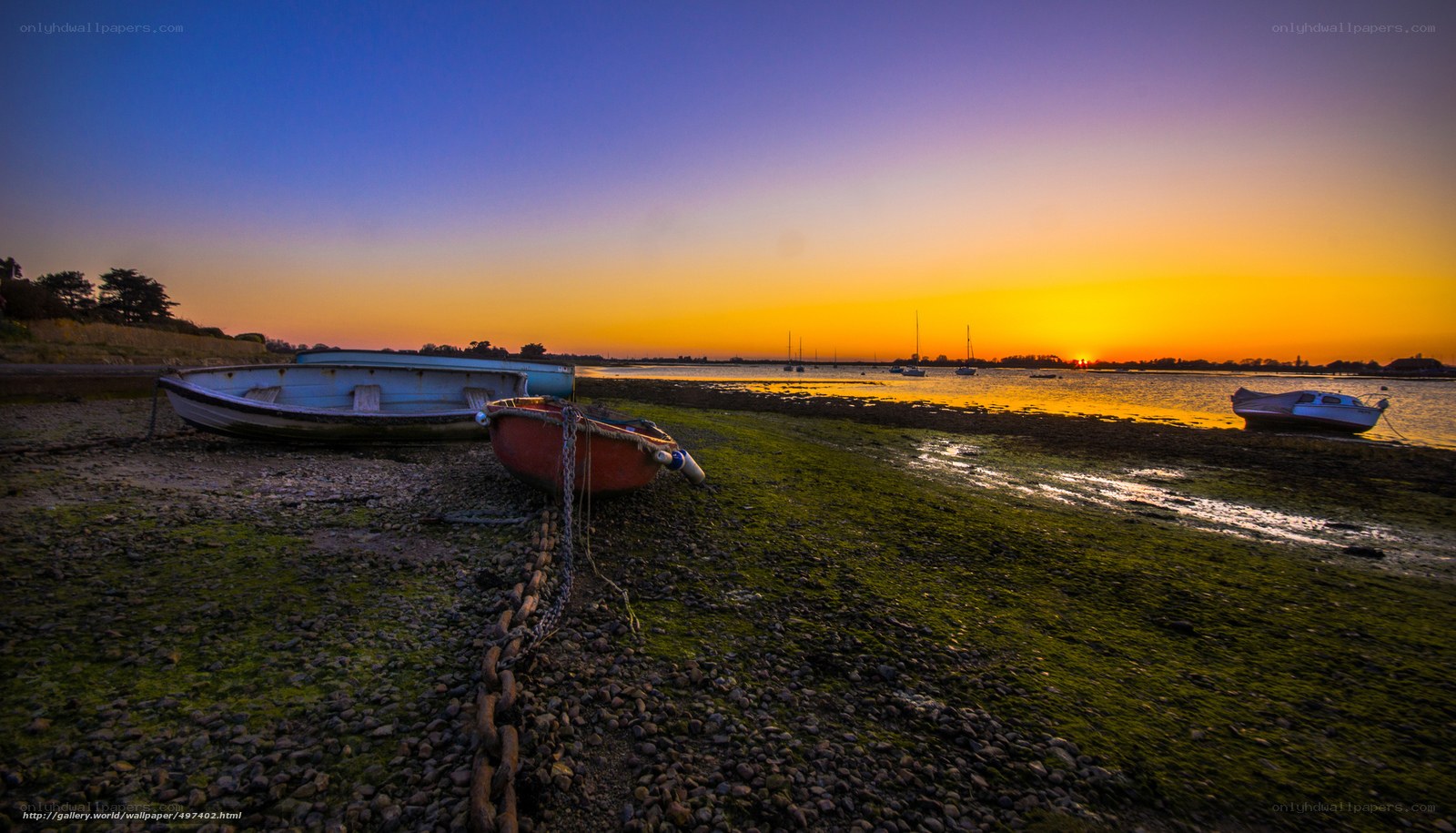 Sunset over the riverbank