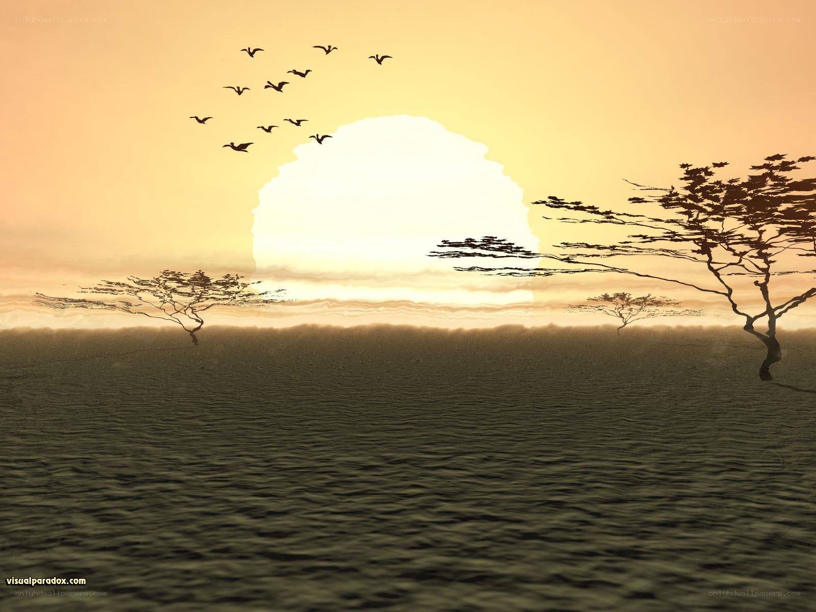 Sunset over the savanna