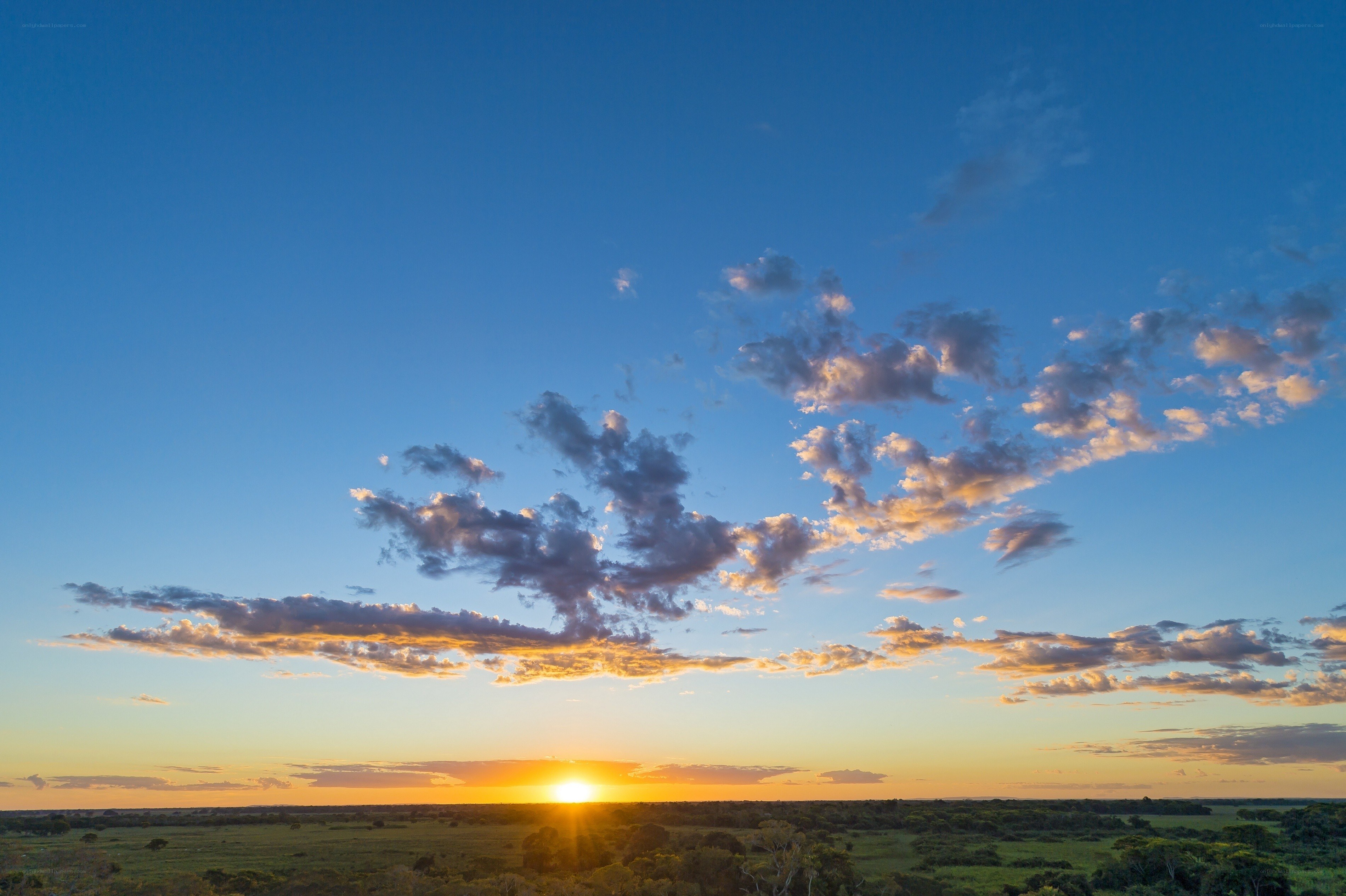 Sunset over the savanna