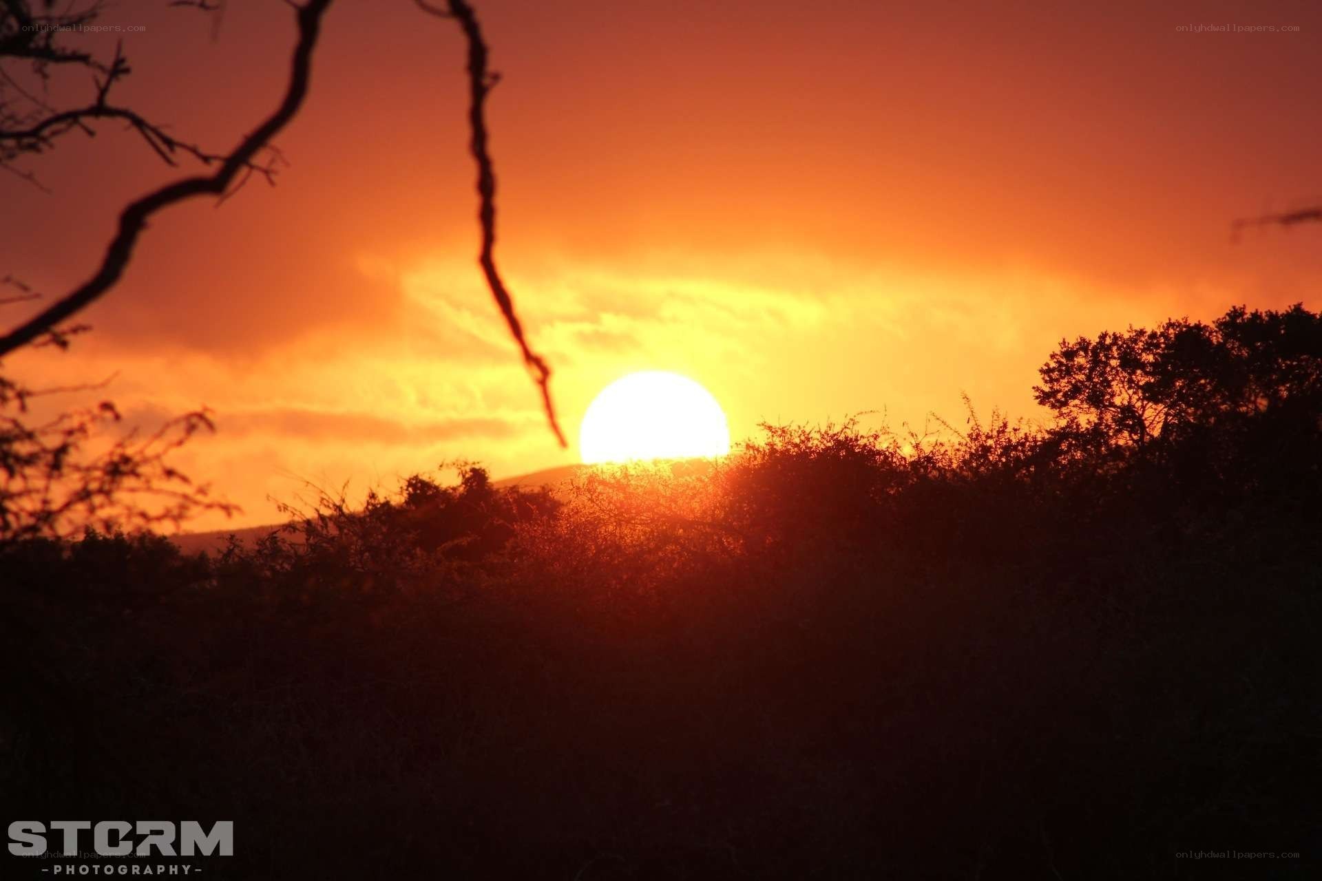 Sunset over the savanna
