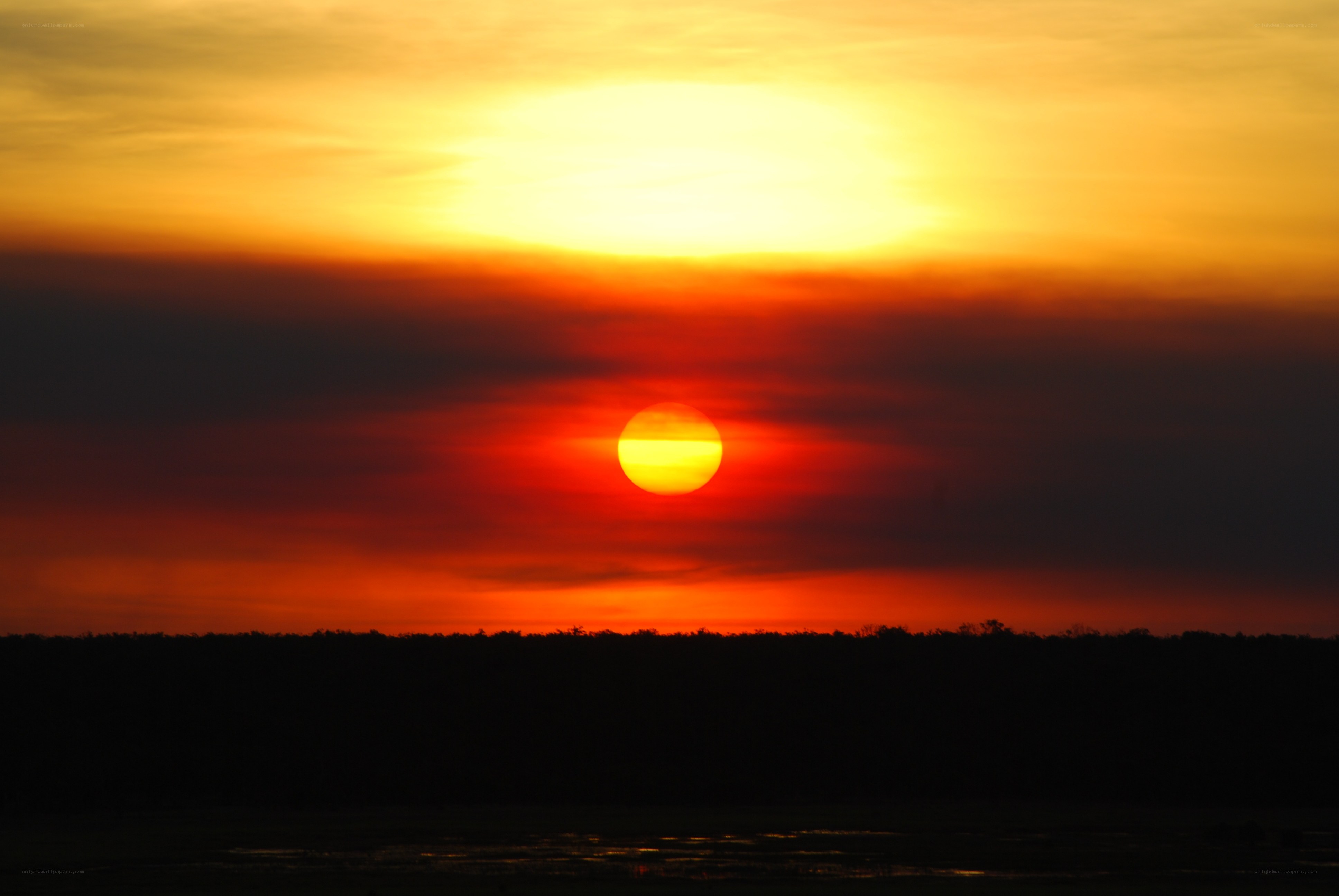Sunset over the savanna