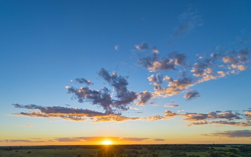 Sunset over the savanna