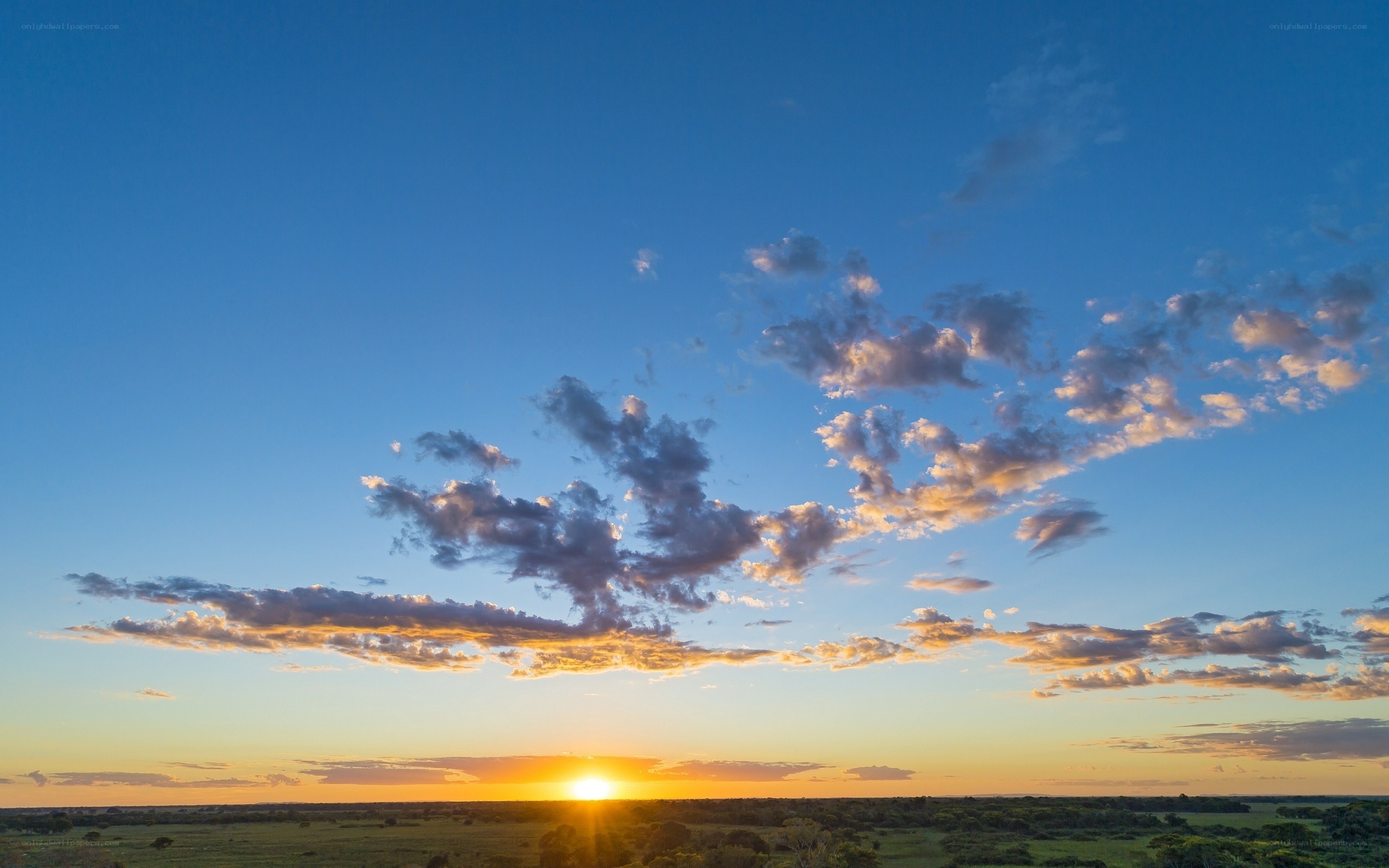 Sunset over the savanna