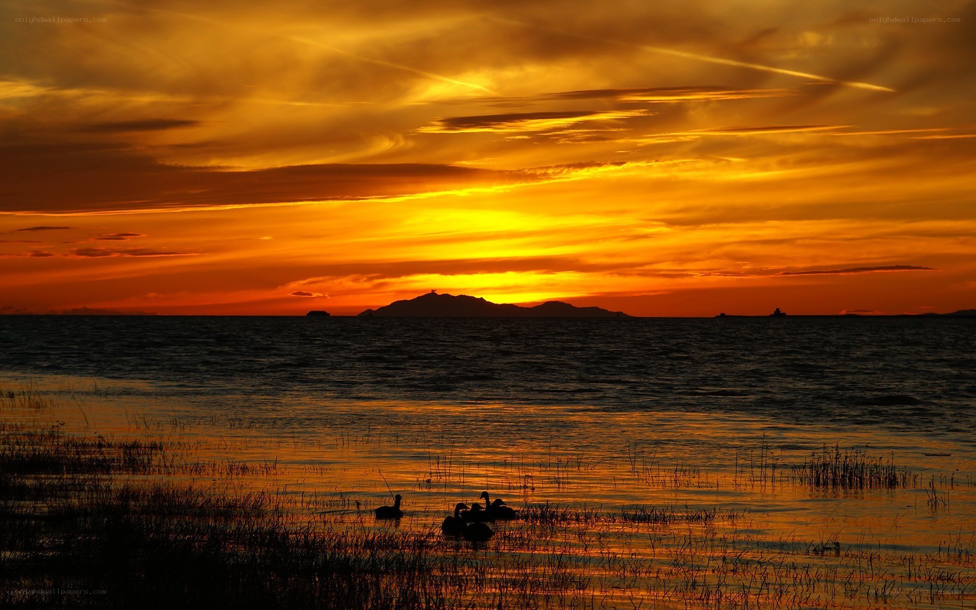 Sunset over the sea