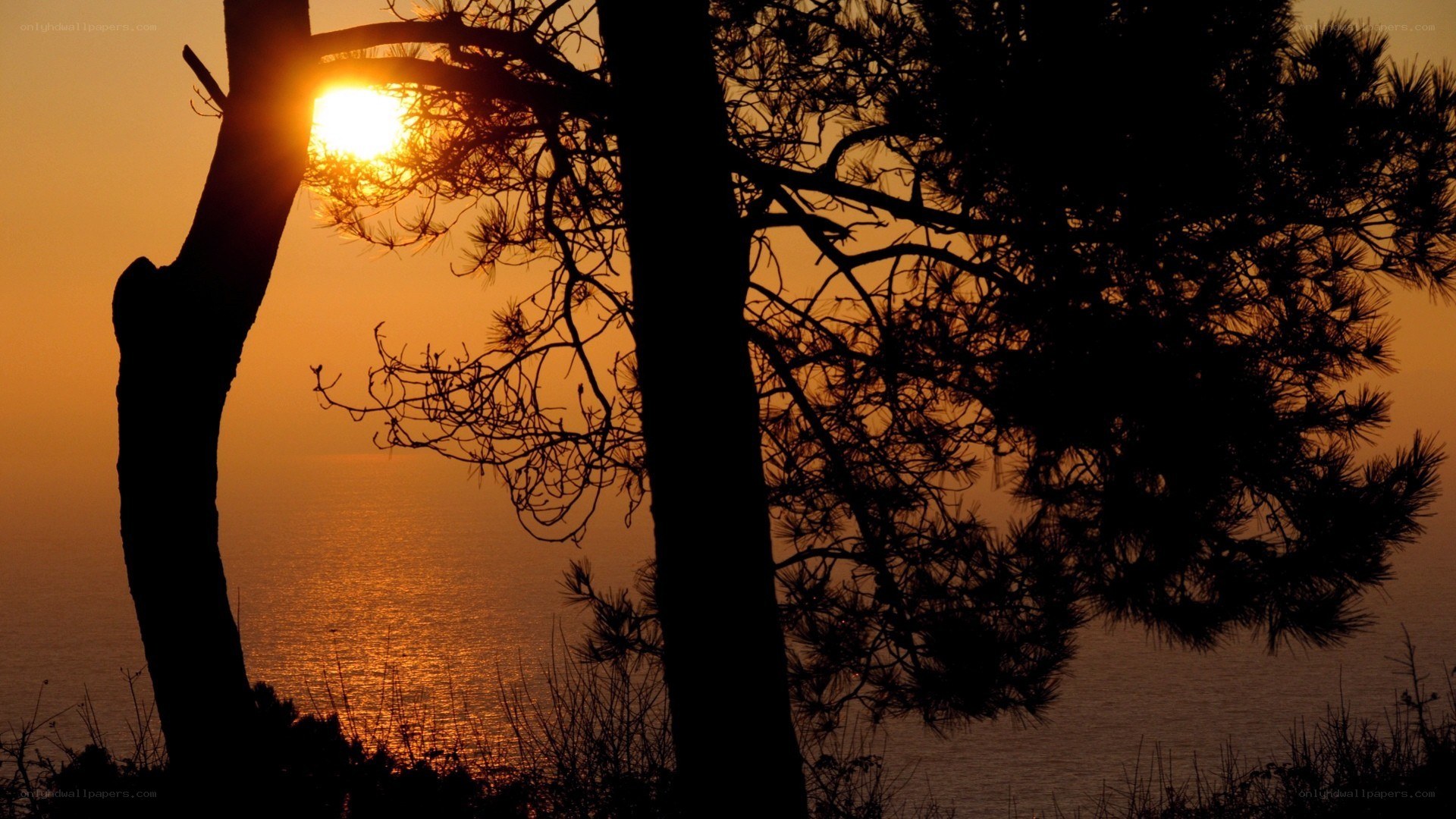 Sunset over the sea