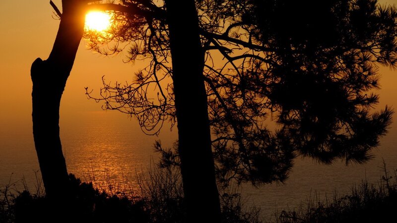 sunset over the sea