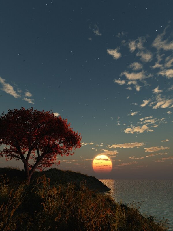 sunset over the sea