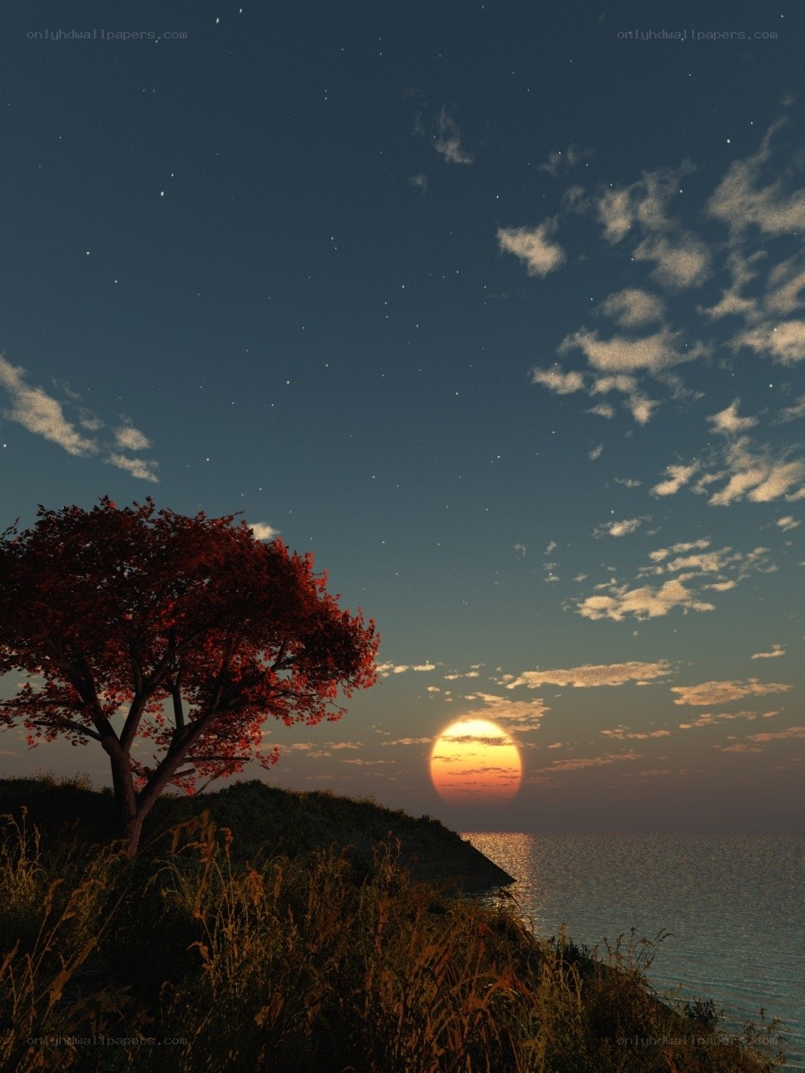 sunset over the sea