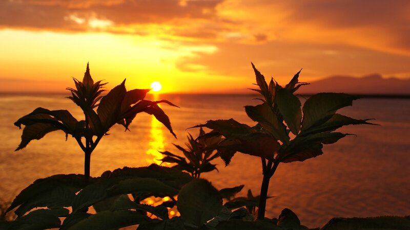 Sunset over the sea