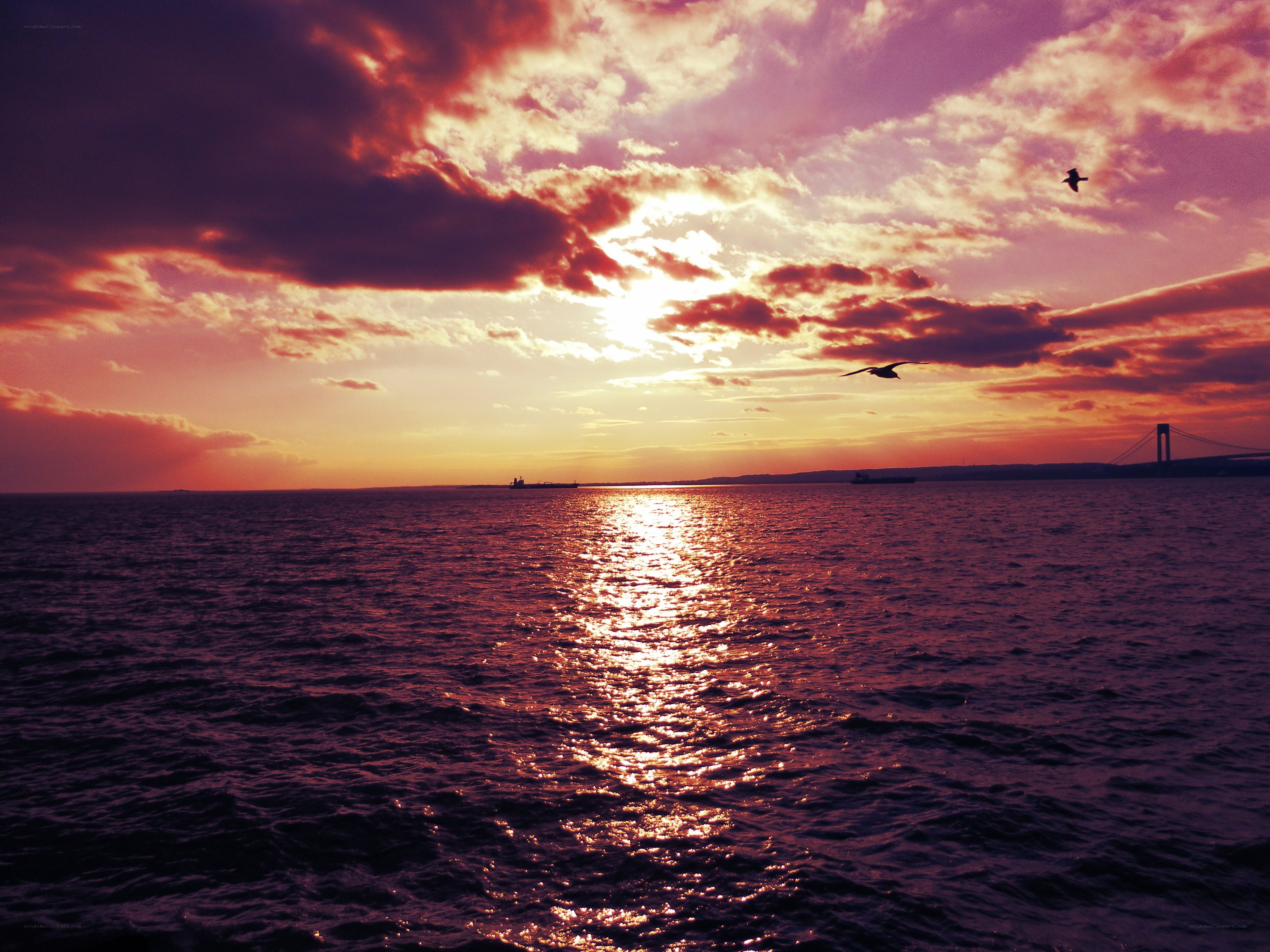 Sunset over the sea