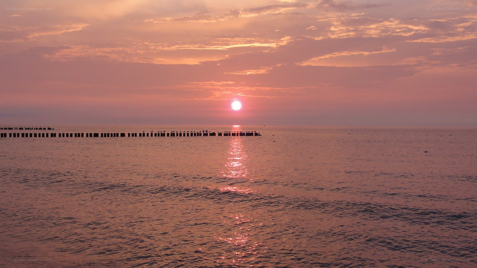 sunset over the sea