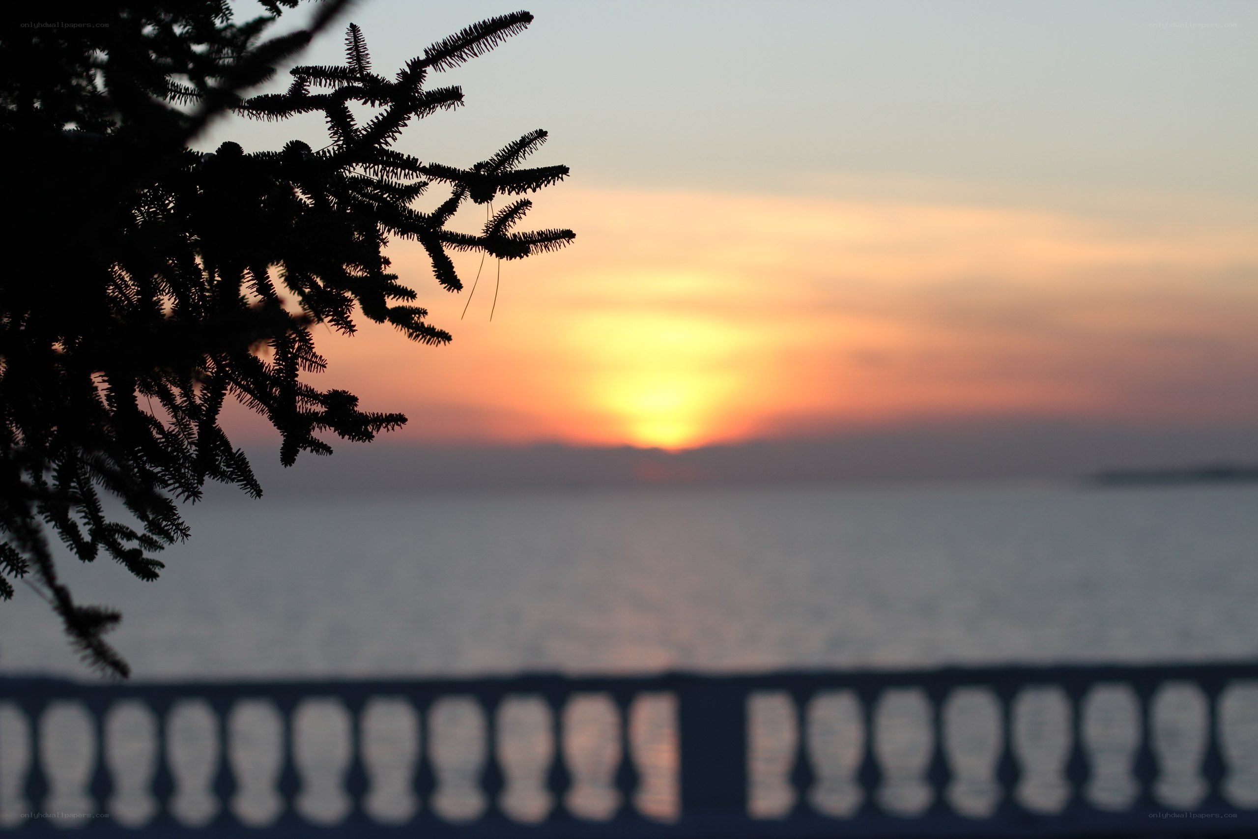 Sunset over the sea