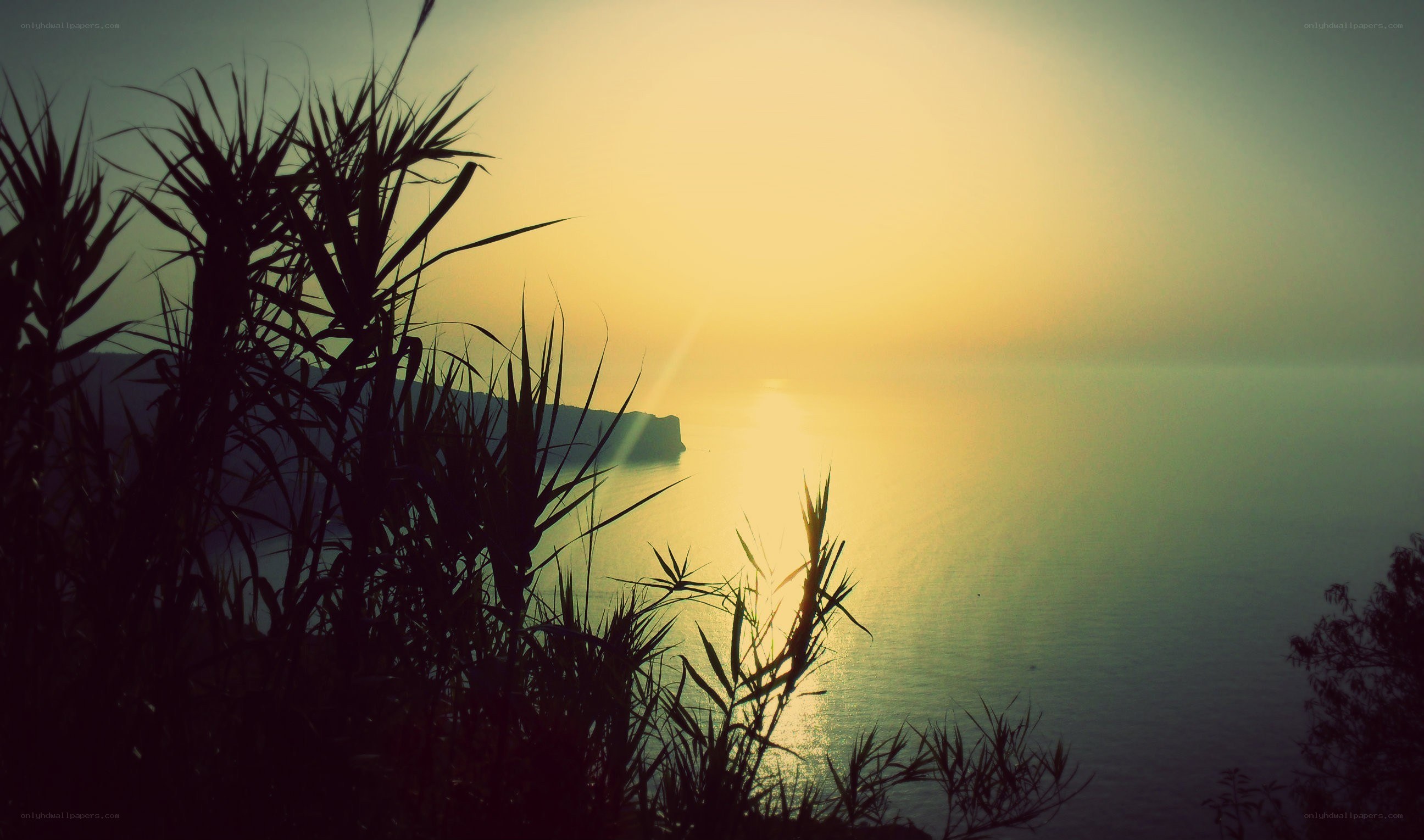 Sunset over the sea