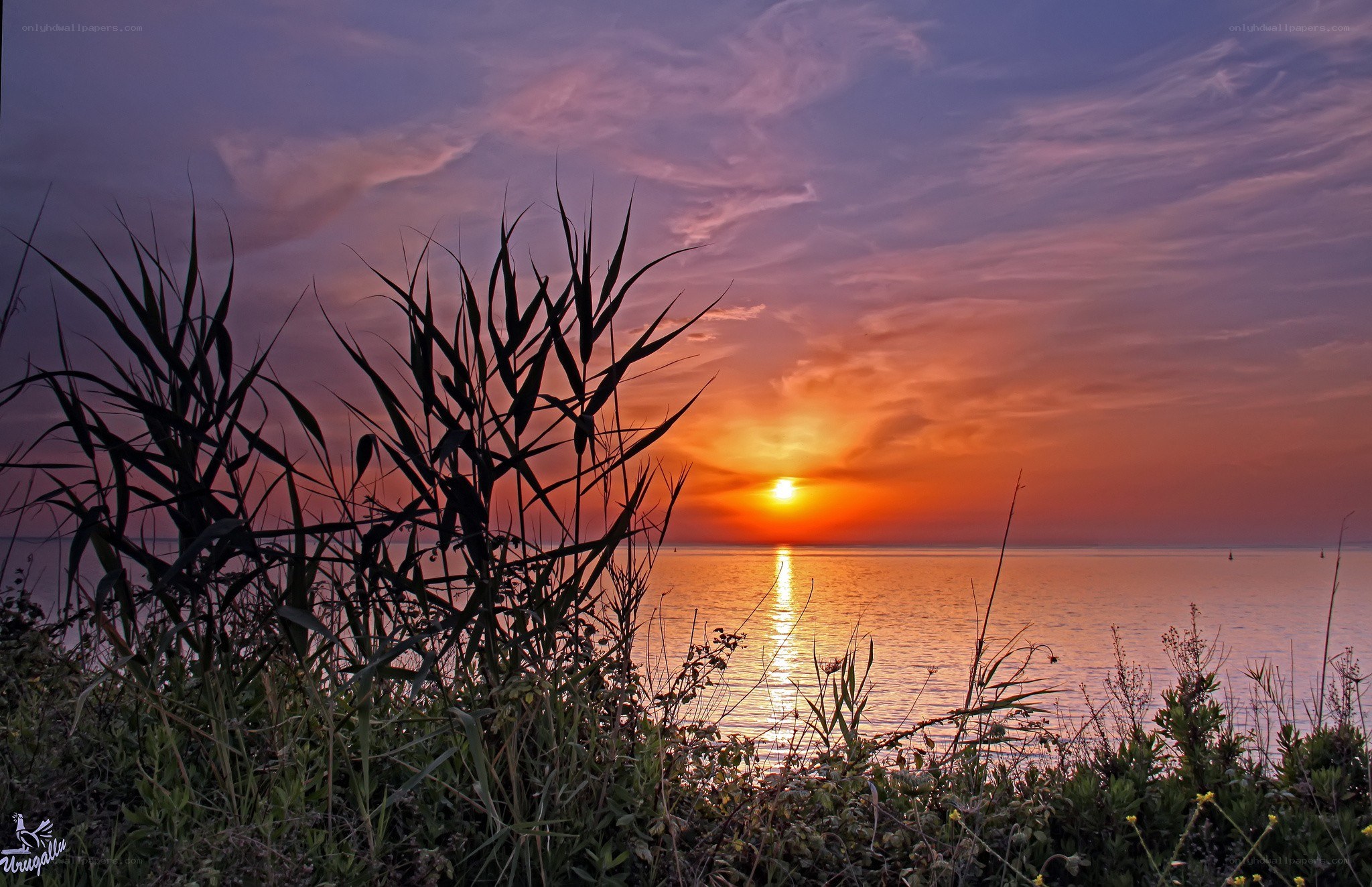 Sunset over the sea