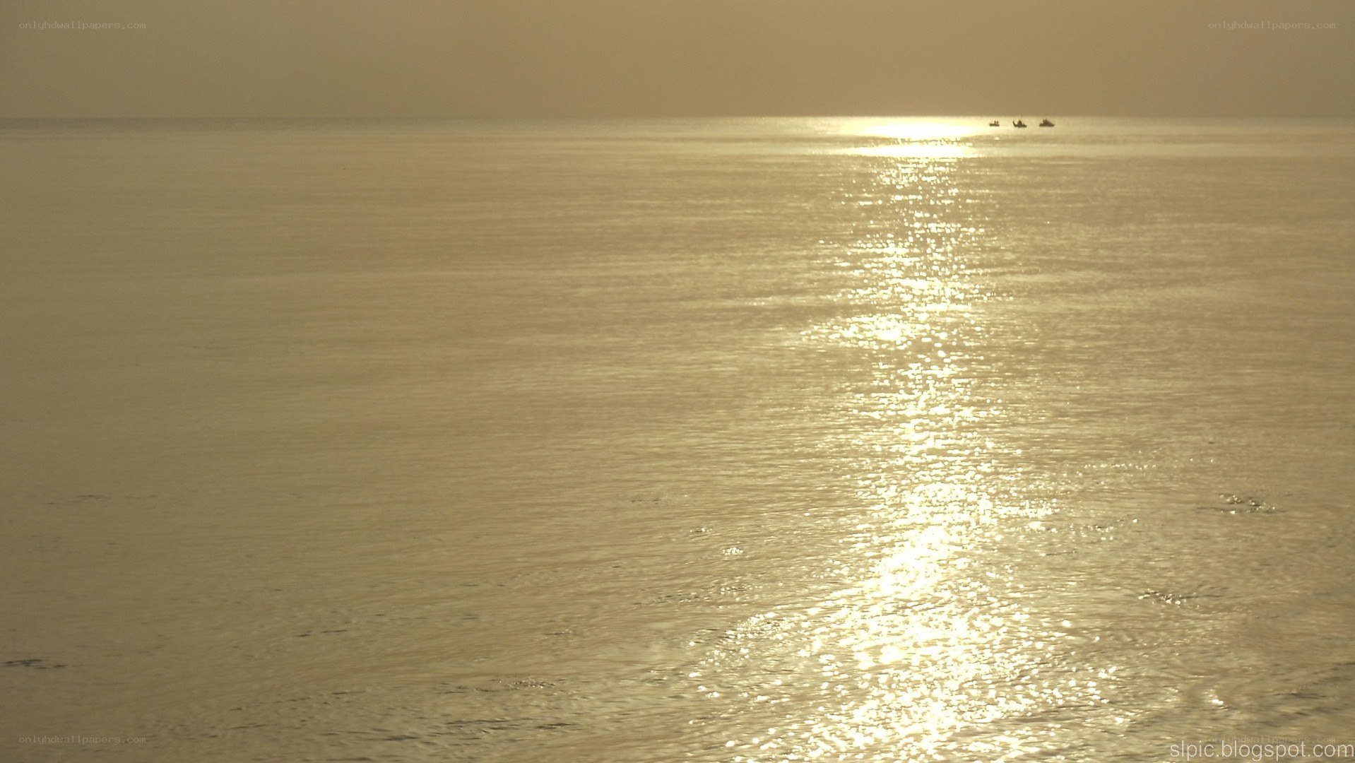 Sunset over the sea