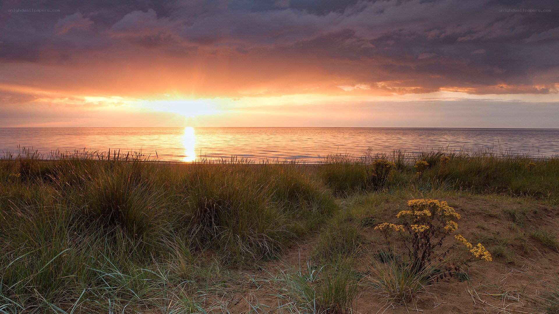 Sunset over the sea