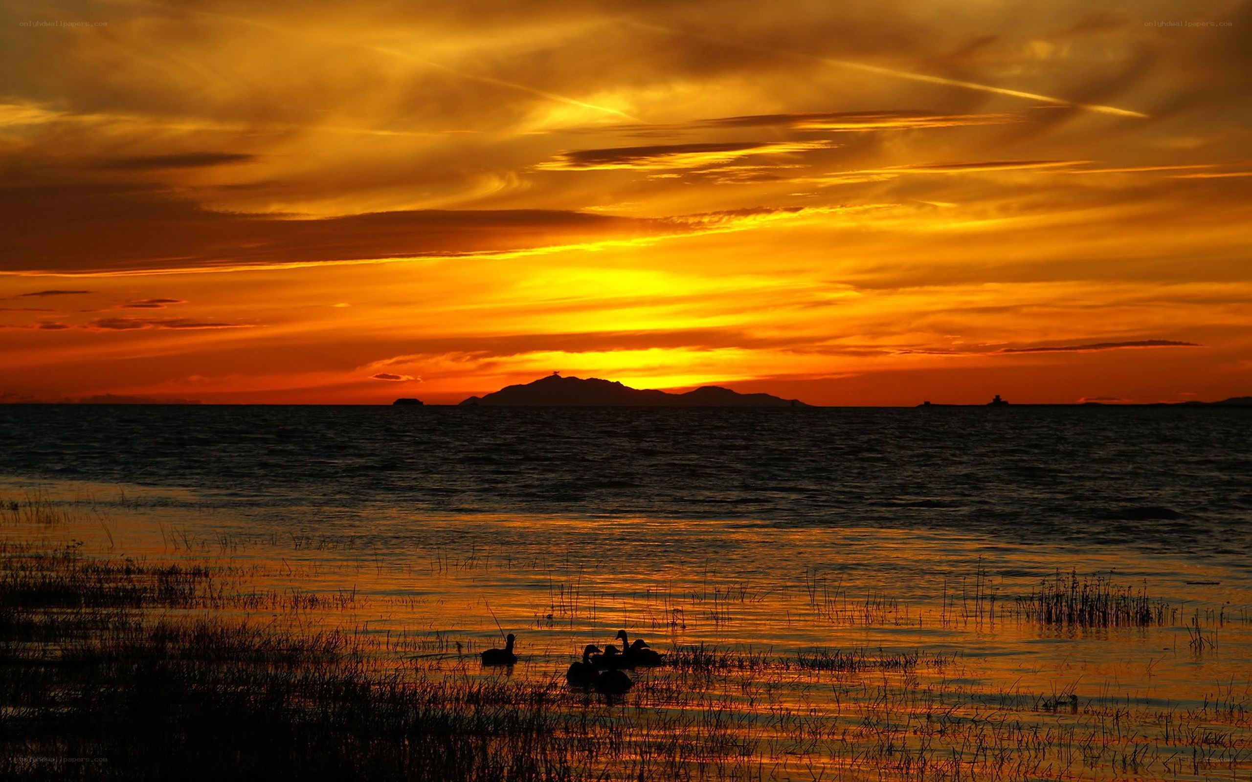 Sunset over the sea