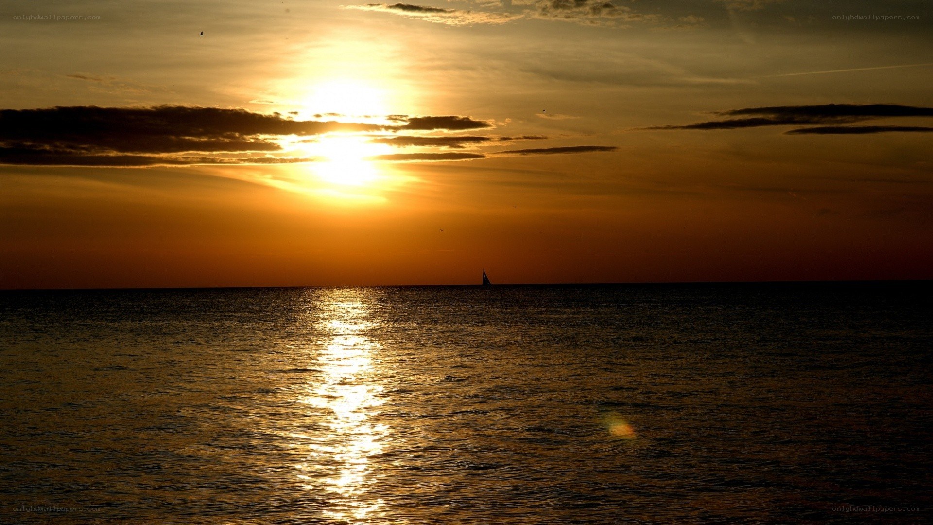 sunset over the sea