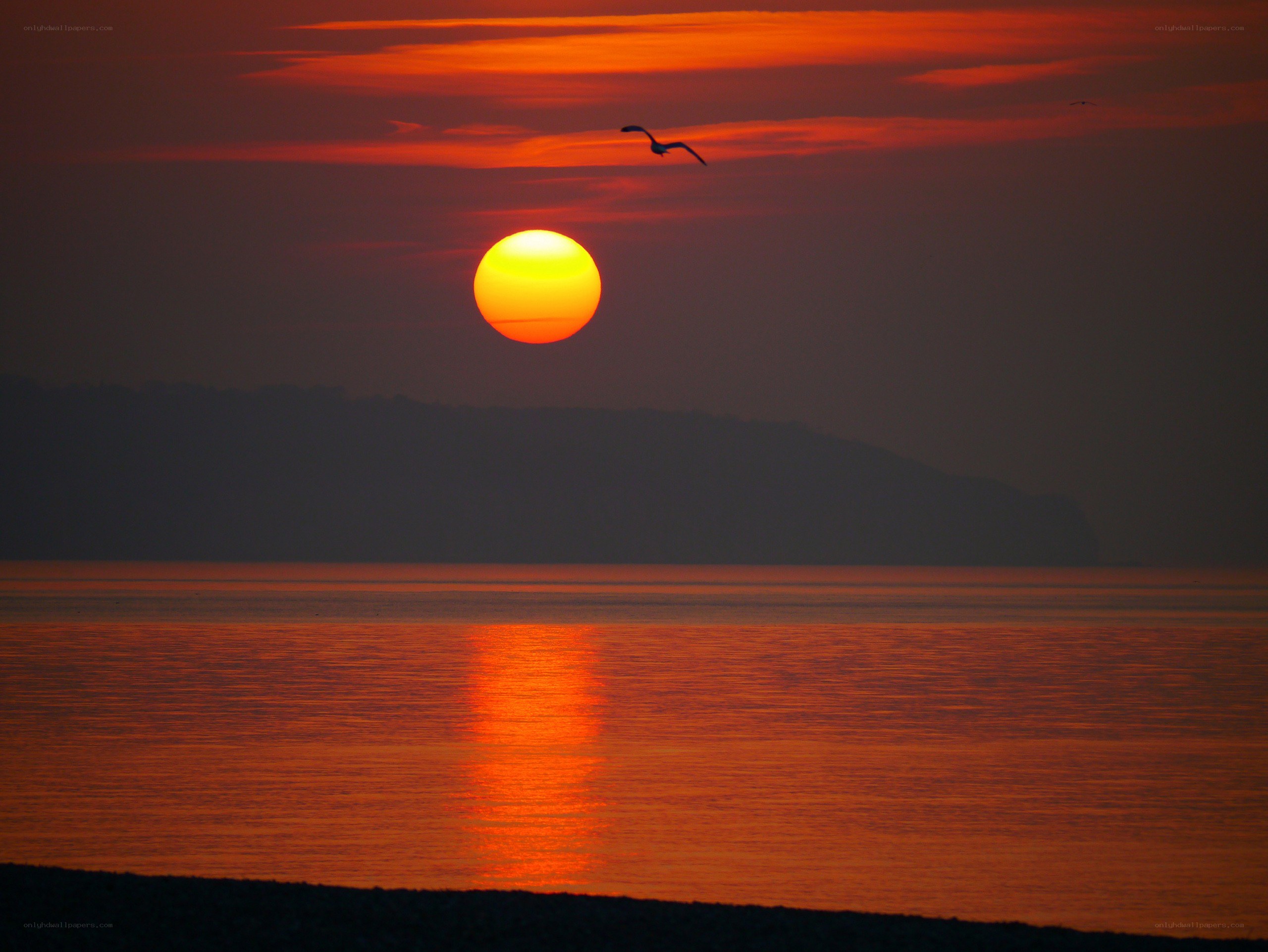 Sunset over the sea