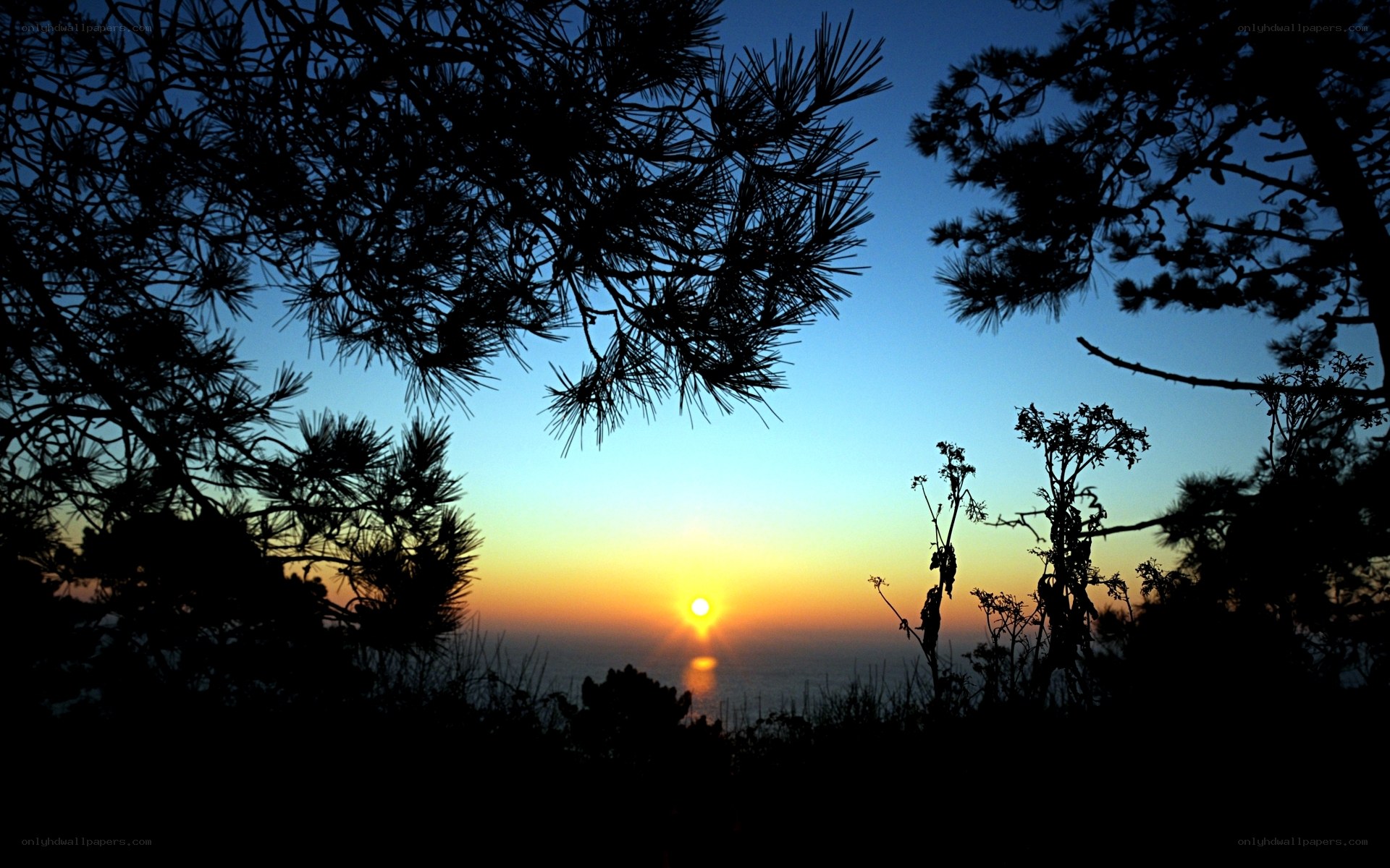 Sunset over the sea