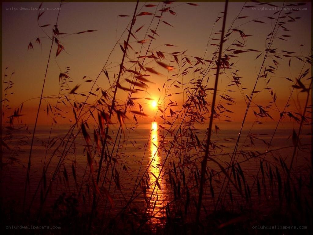 Sunset over the sea