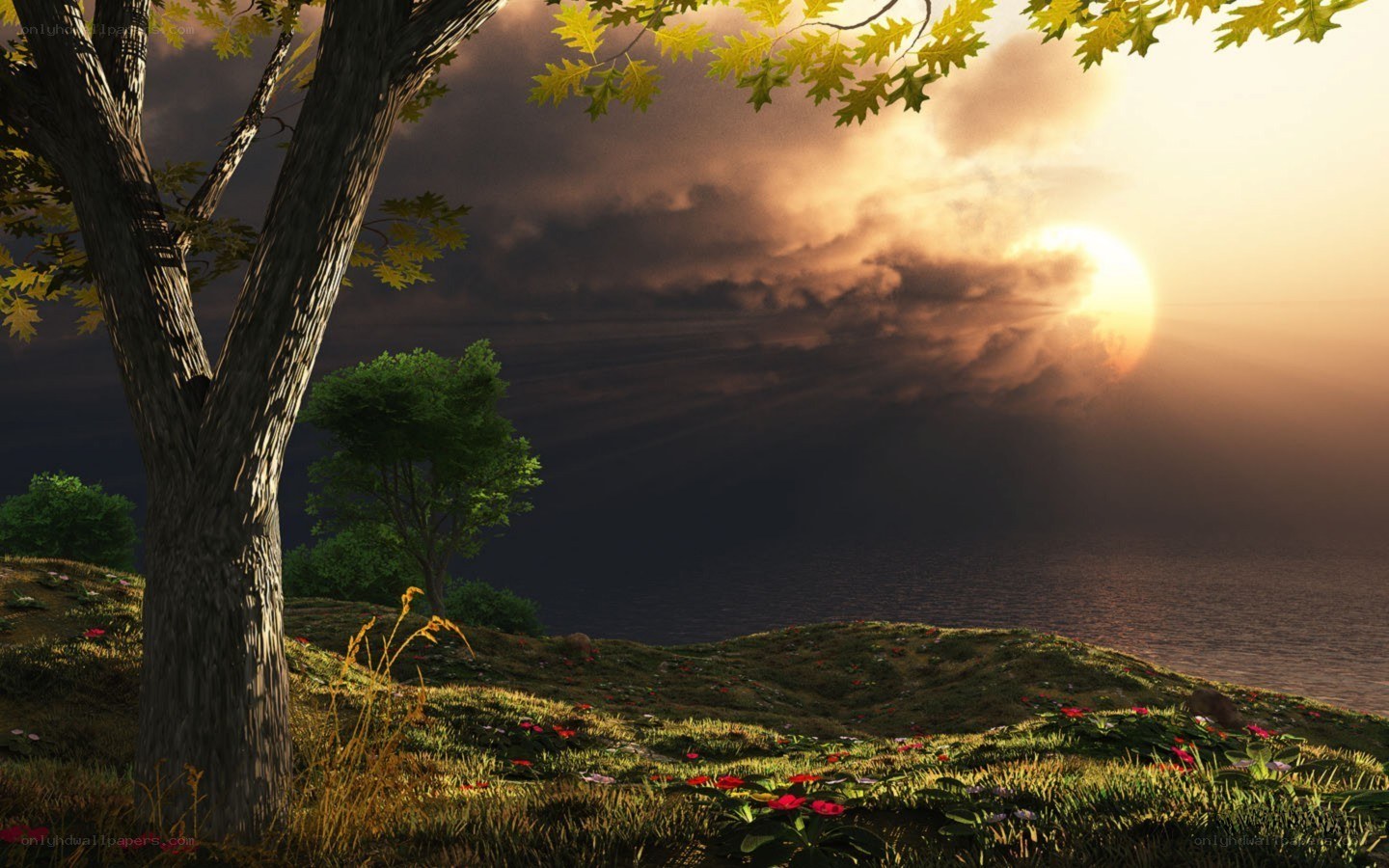 Sunset over the sea