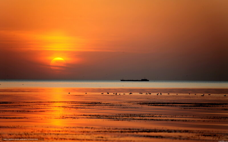 Sunset over the sea