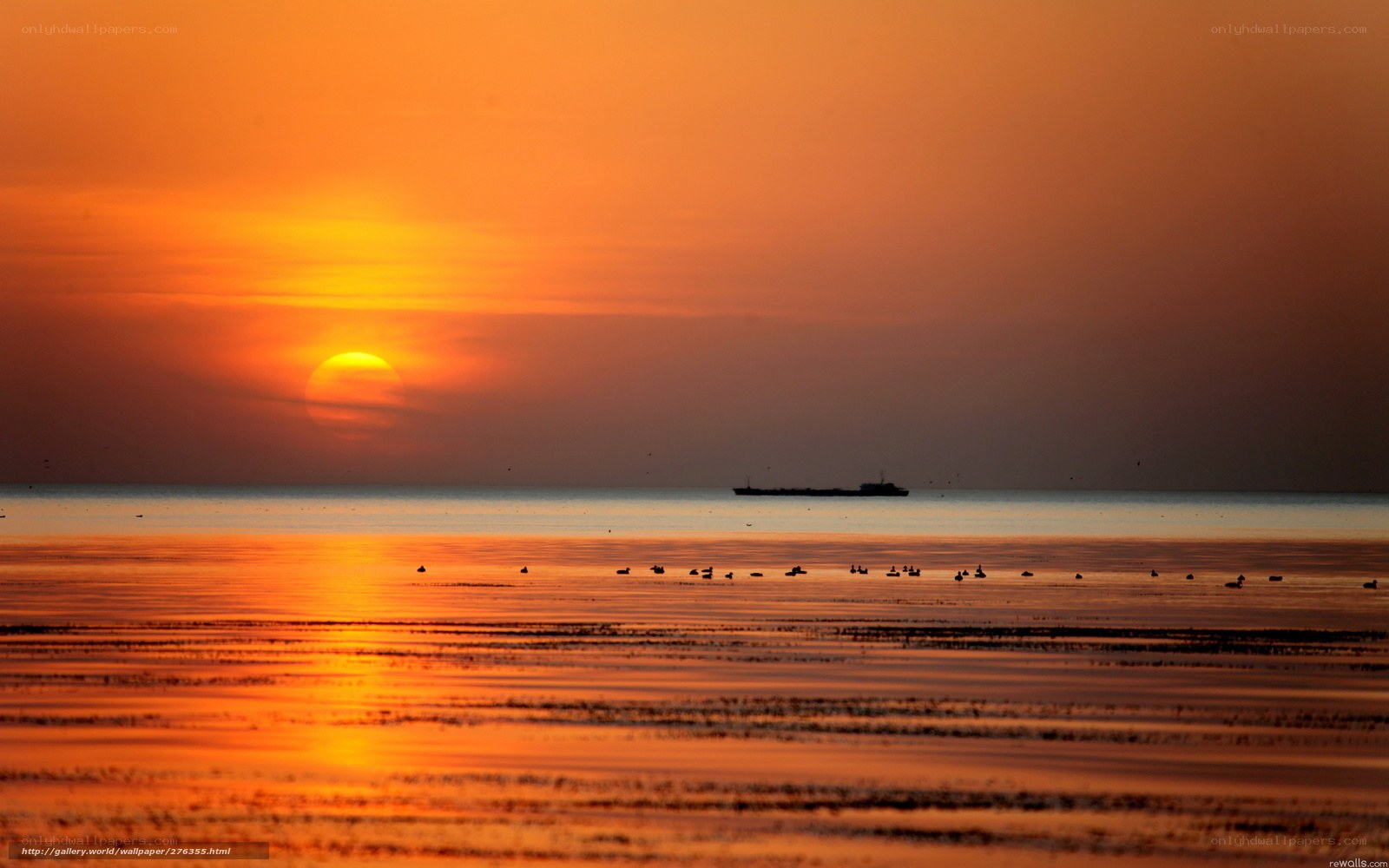 Sunset over the sea