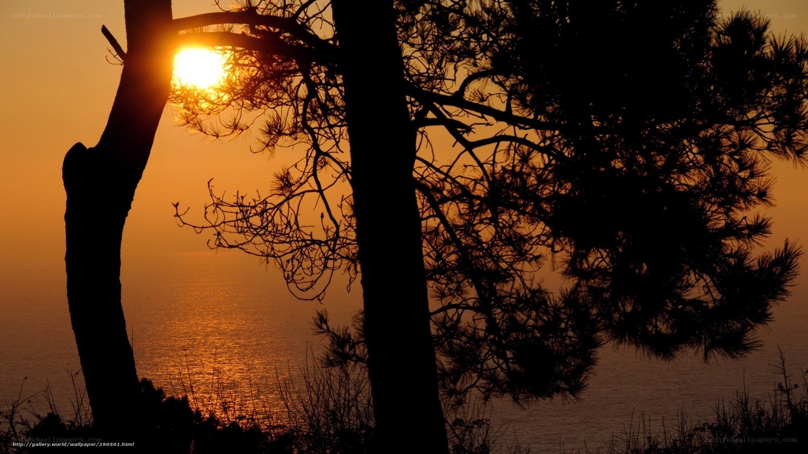 Sunset over the sea