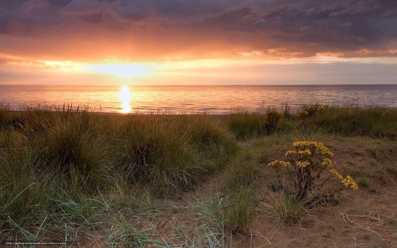sunset over the sea