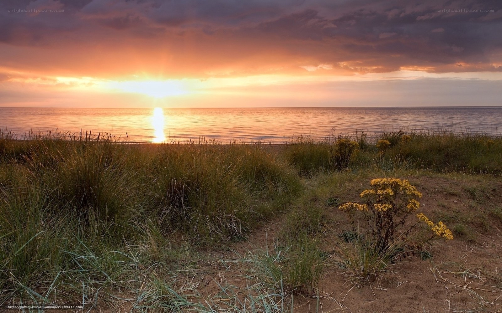 sunset over the sea