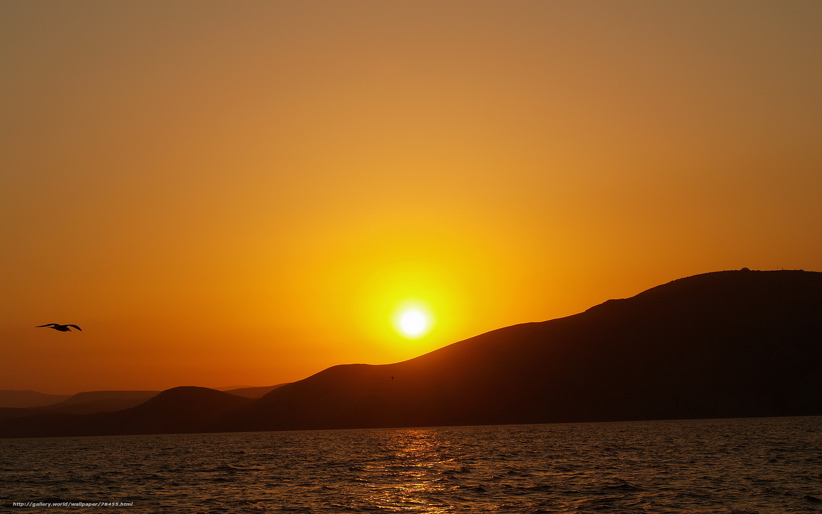 Sunset over the sea