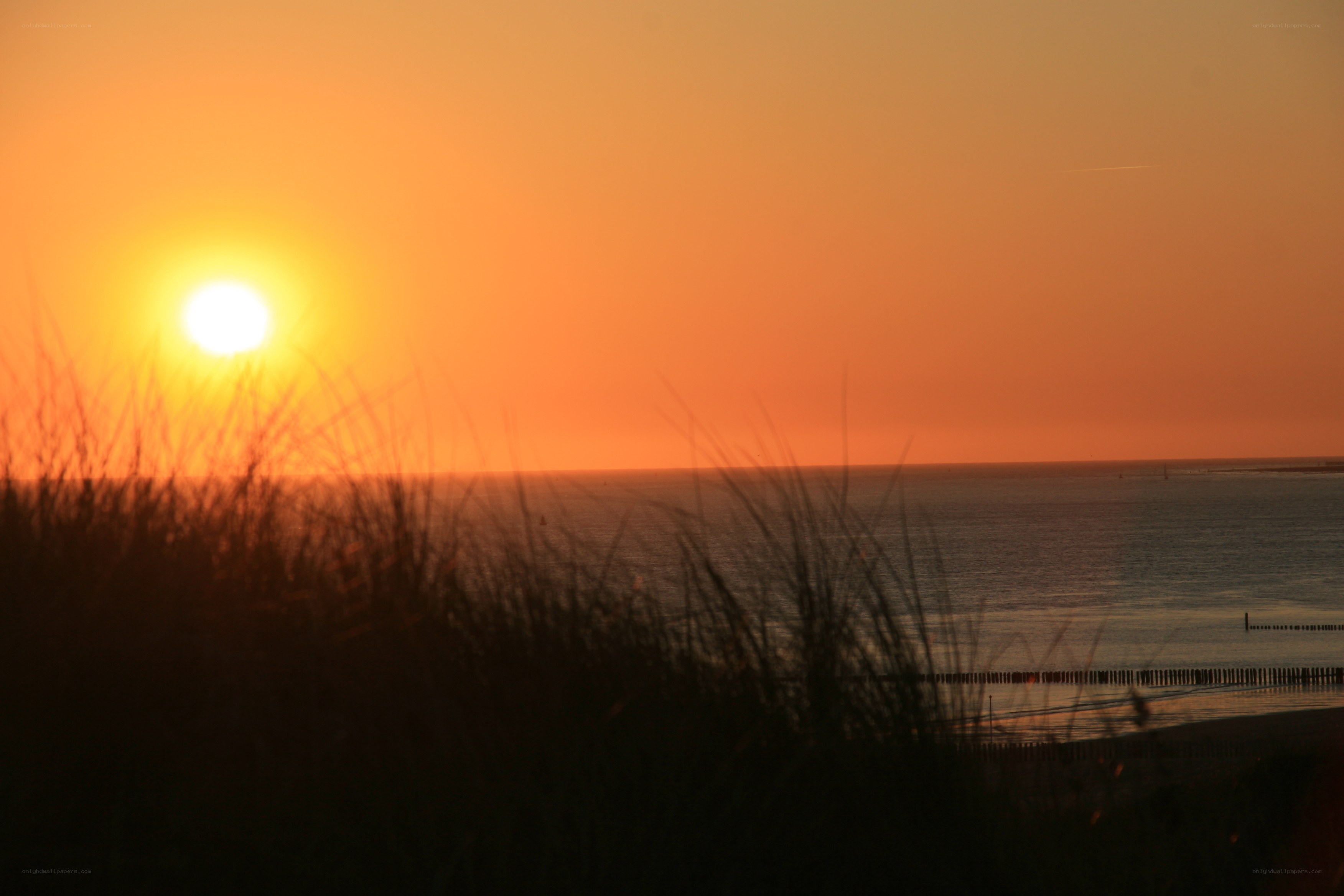 Sunset over the sea