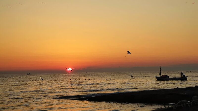 Sunset over the Sea — Orange, Serene, Photograph, Boat, Birds