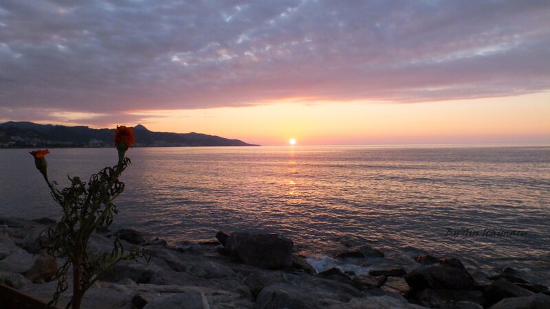 Sunset over the Sea — Orange, Serene, Photograph, Flower