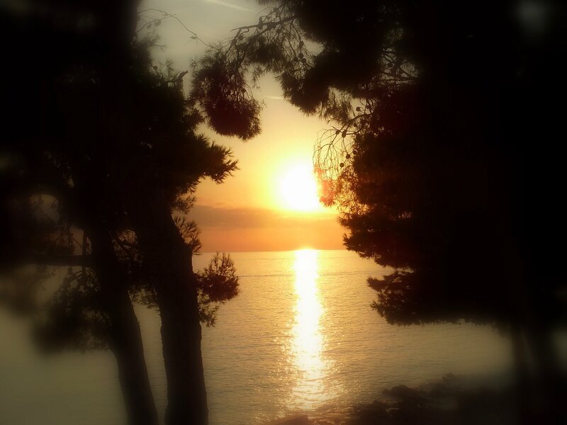 Sunset over the Sea — Orange, Serene, Photograph, Trees