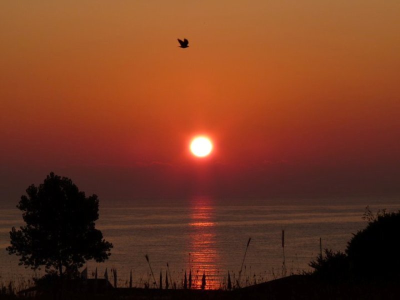 Sunset over the Sea — Orange