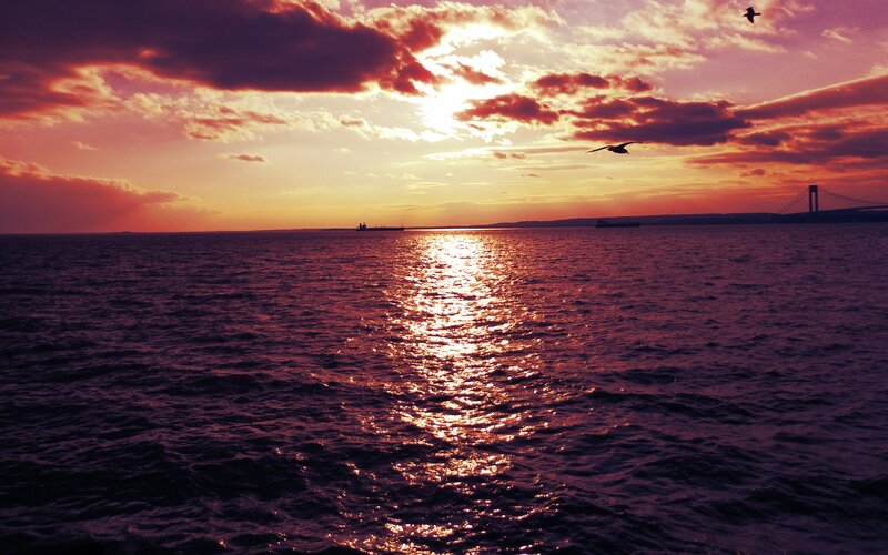 Sunset over the sea with birds