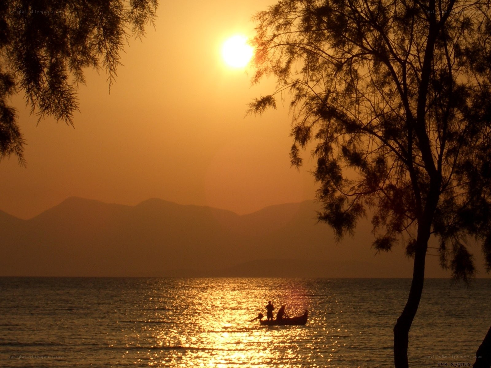 Sunset over the sea with boat