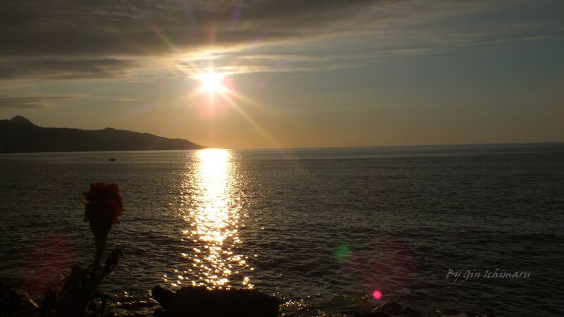 Sunset over the sea with flower