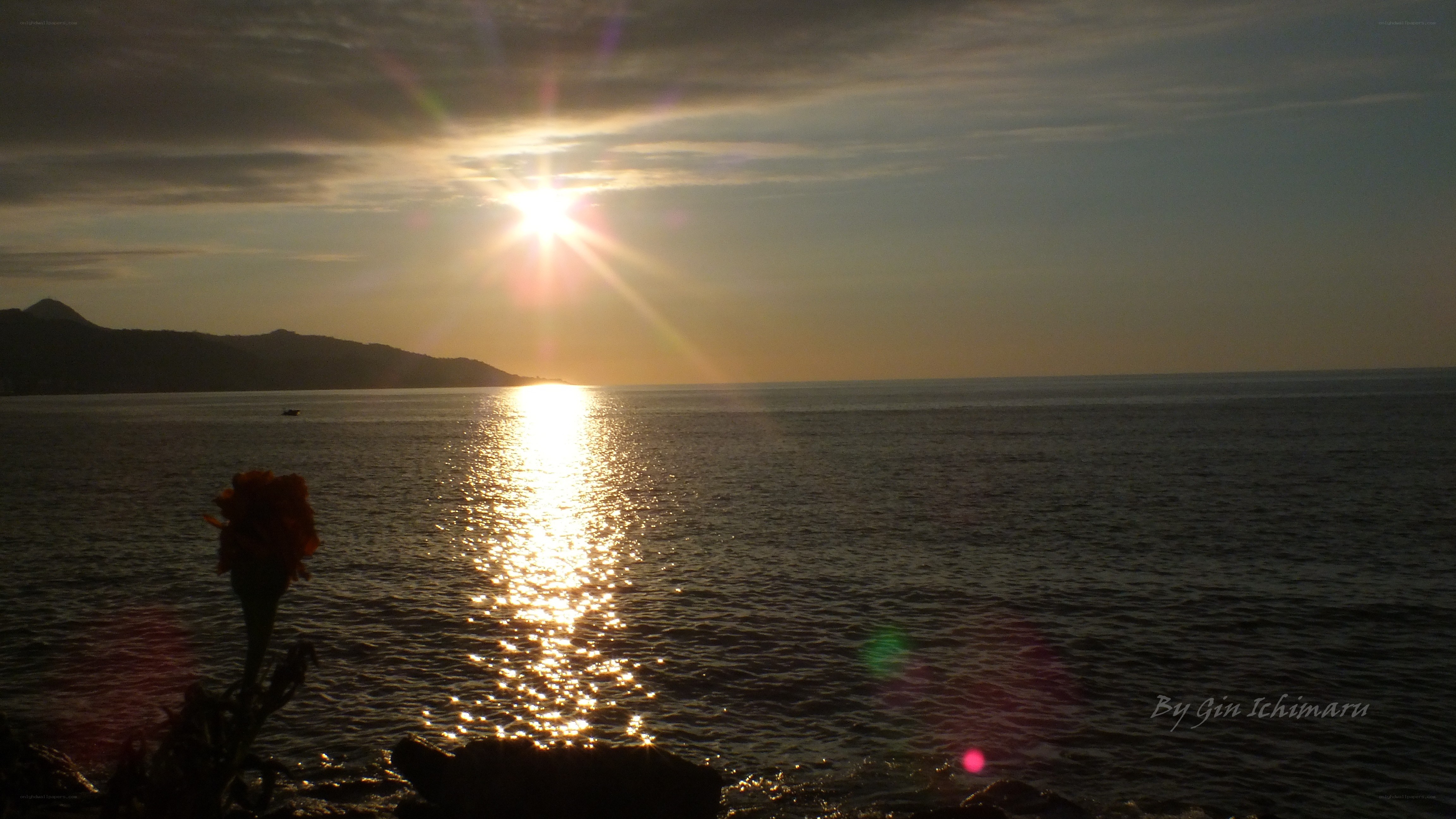 Sunset over the sea with flower