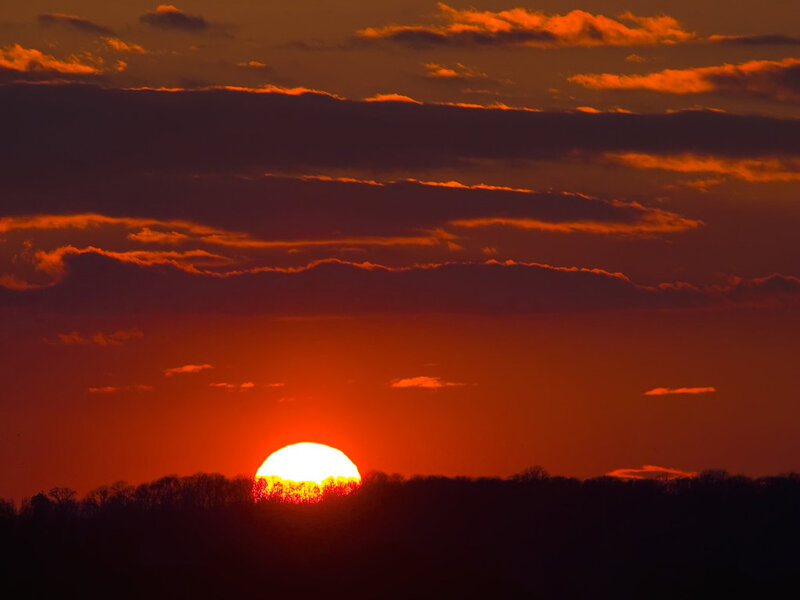 Sunset over the treeline