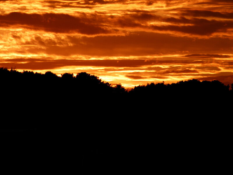 Sunset over the treeline