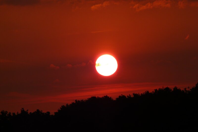 Sunset over the trees