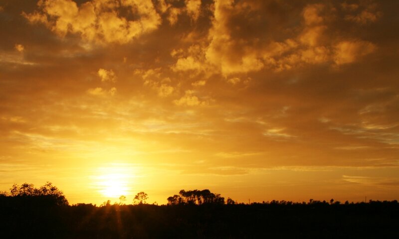 Sunset over the trees