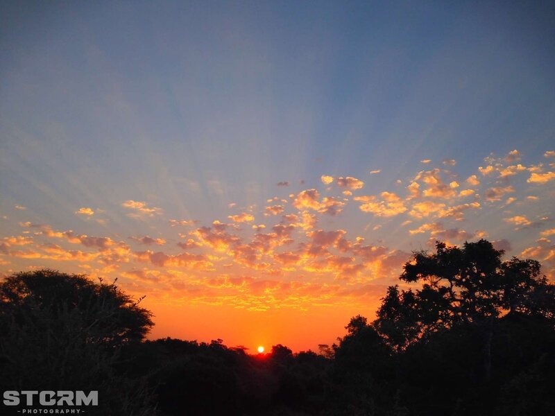 Sunset over the trees