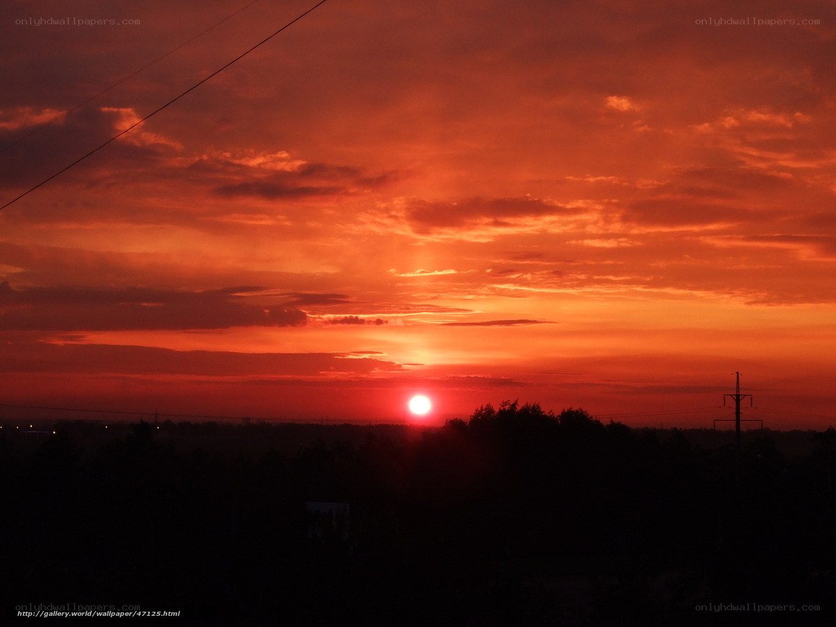 Sunset over the trees