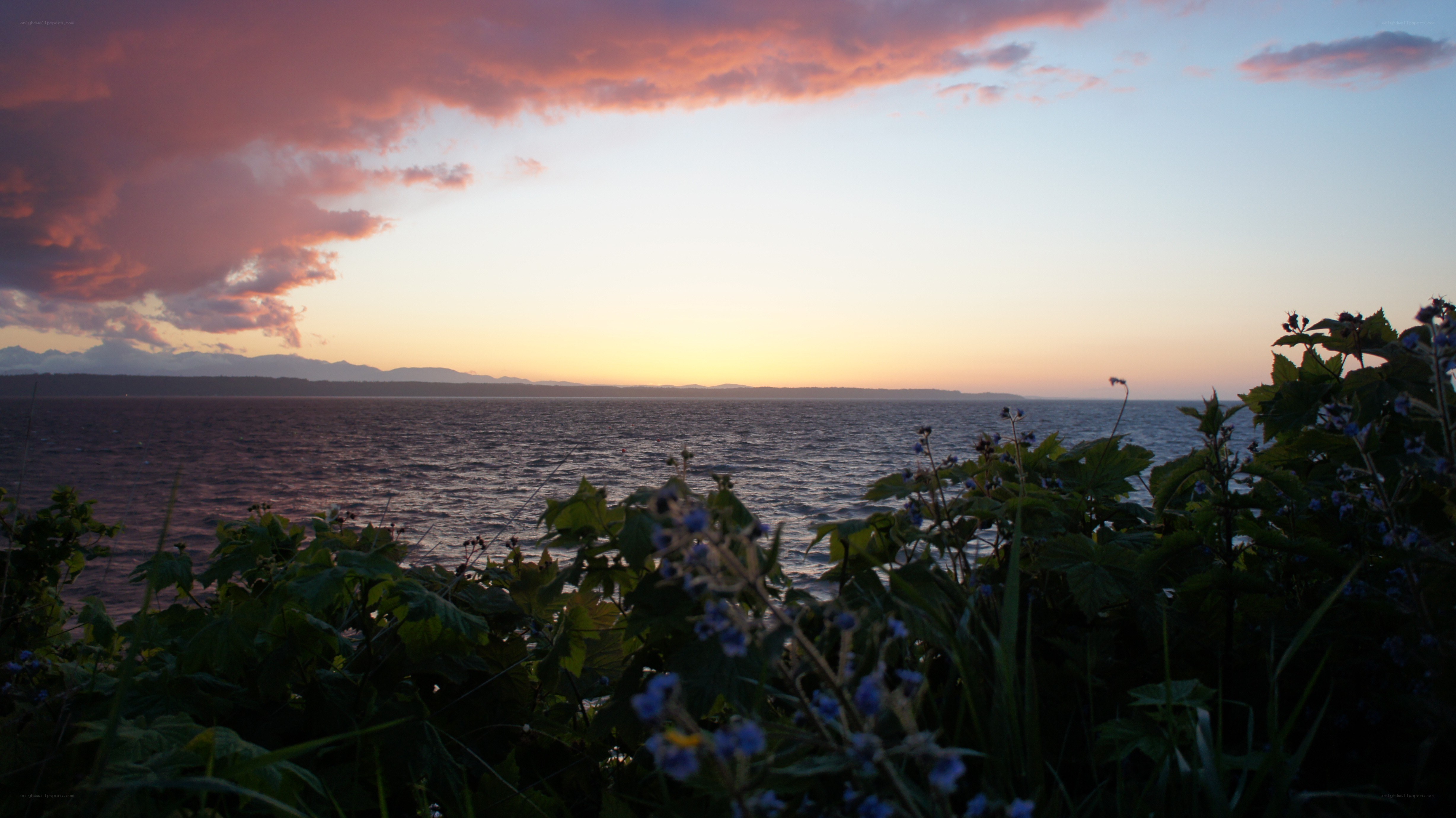 sunset over the water